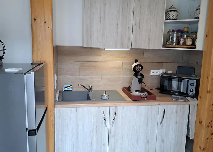 Appartement Rémi Aix-les-Bains